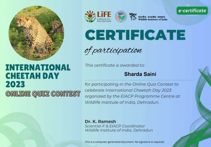 International Cheetah Day Education Supreme