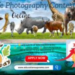 Capturing the Splendour of Wildlife Wildlife Photography Contest.